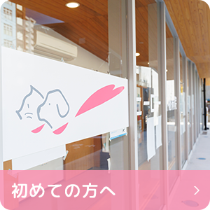 初めての方へ